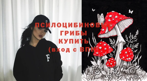 ECSTASY Ивантеевка