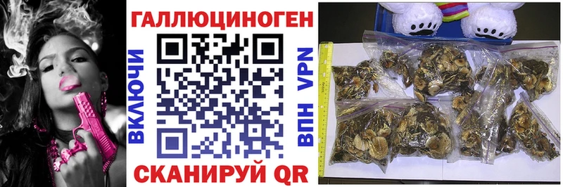 Галлюциногенные грибы Cubensis  где купить   Козельск 